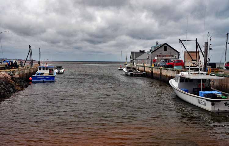 harbor